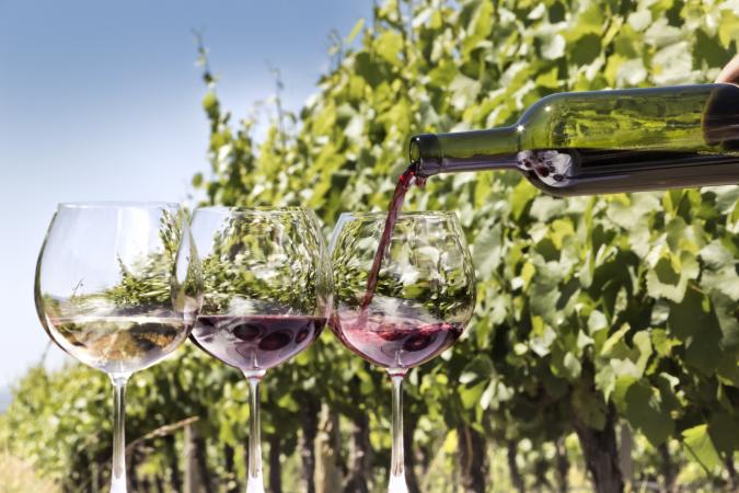 Pouring Zinfandel and white Zinfandel wines