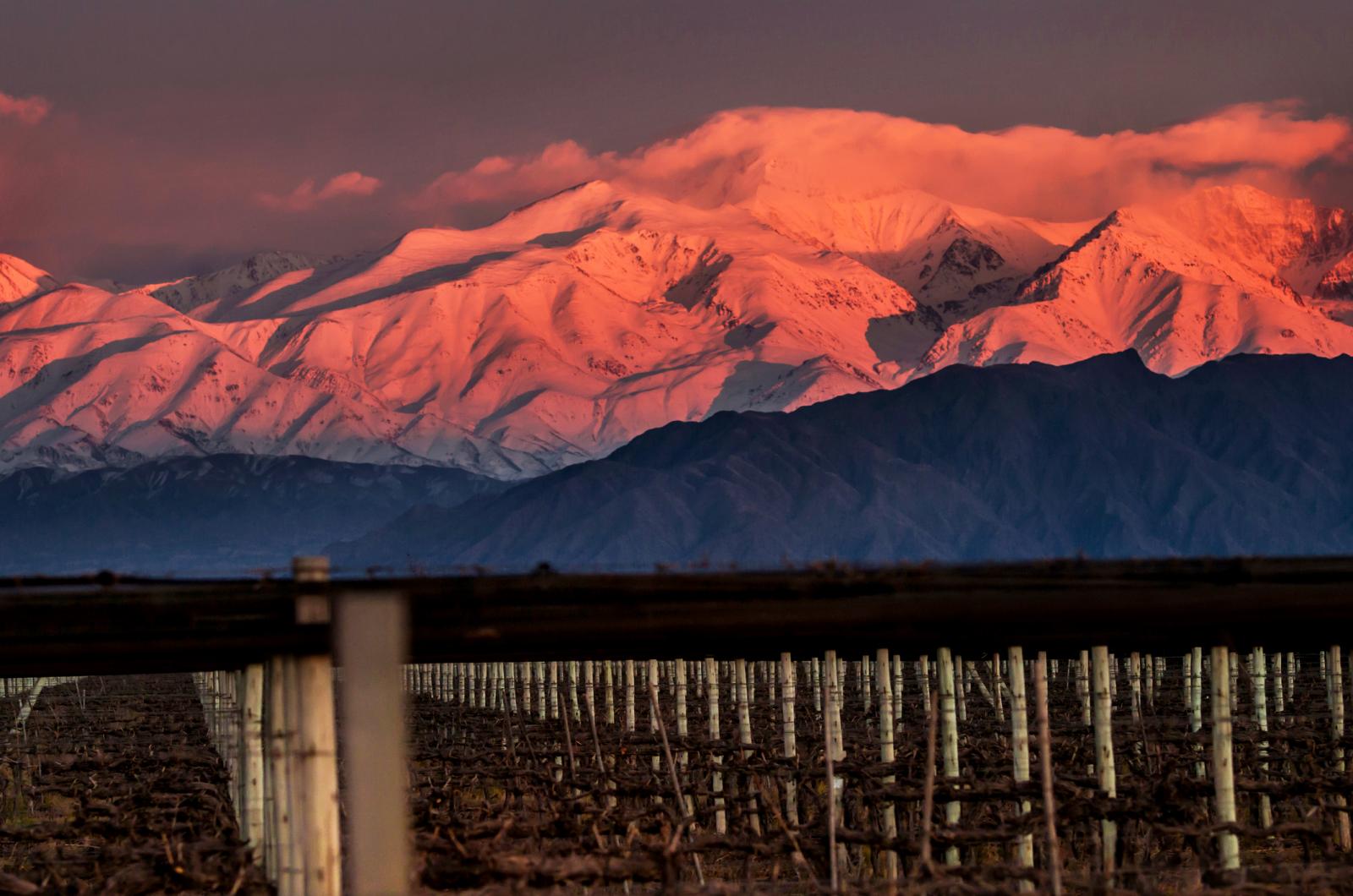 Snowcapped Mountains Against Sky During Sunset and vineyard
