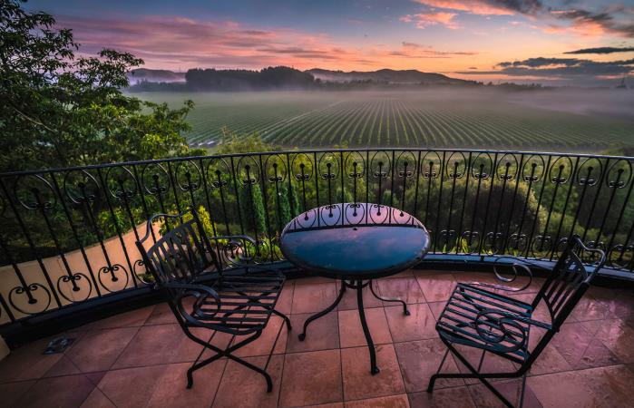New Zealand Winery
