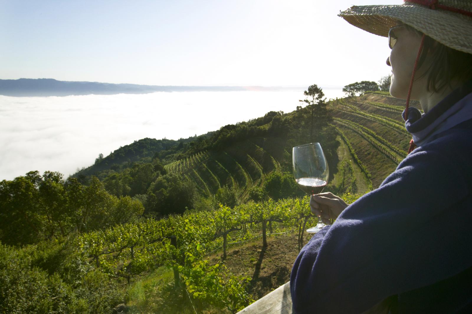 Woman drinking wine, Mountain Vineyard, Napa Valley, California