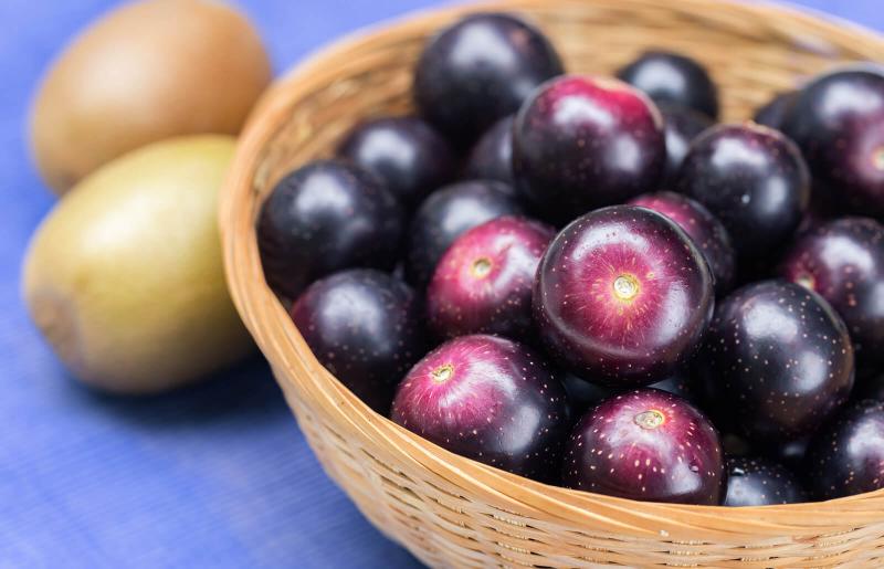 Guide to Muscadine Wine LoveToKnow