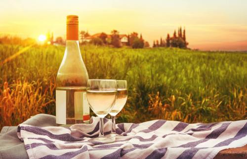 7 Popular Spanish Wines Lovetoknow