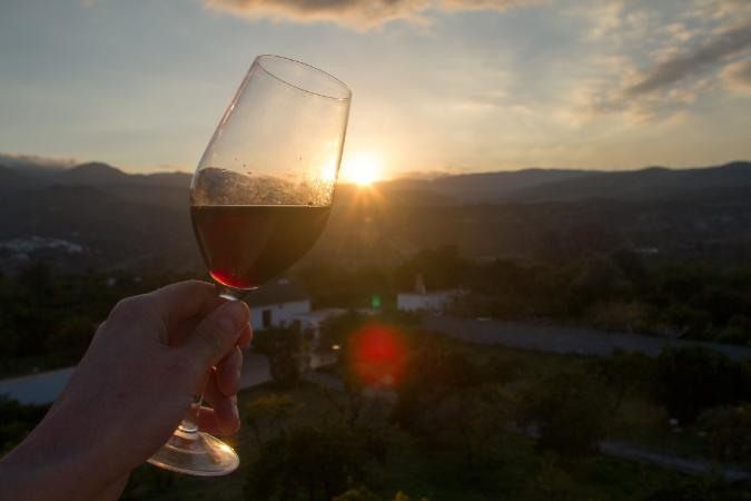 Glass of red wine