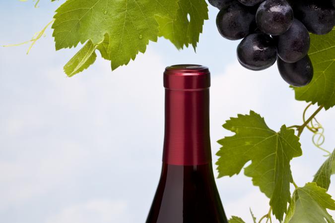 Merlot grapes and wine bottle