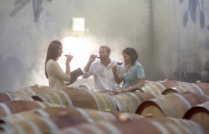 People tasting wine in cellar