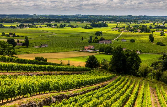 Bordeaux Wine Cellars