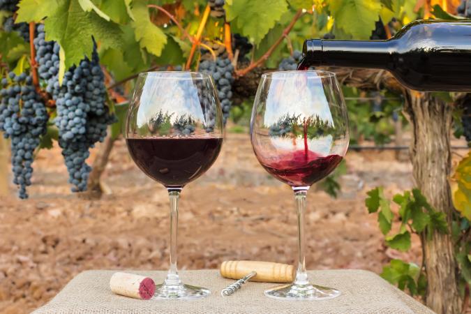 Pouring Cabernet Sauvignon into goblets with vineyard grapes in background