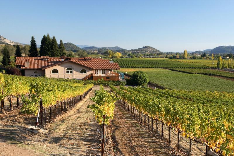 What Is an Estate Wine? Facts & Requirements LoveToKnow