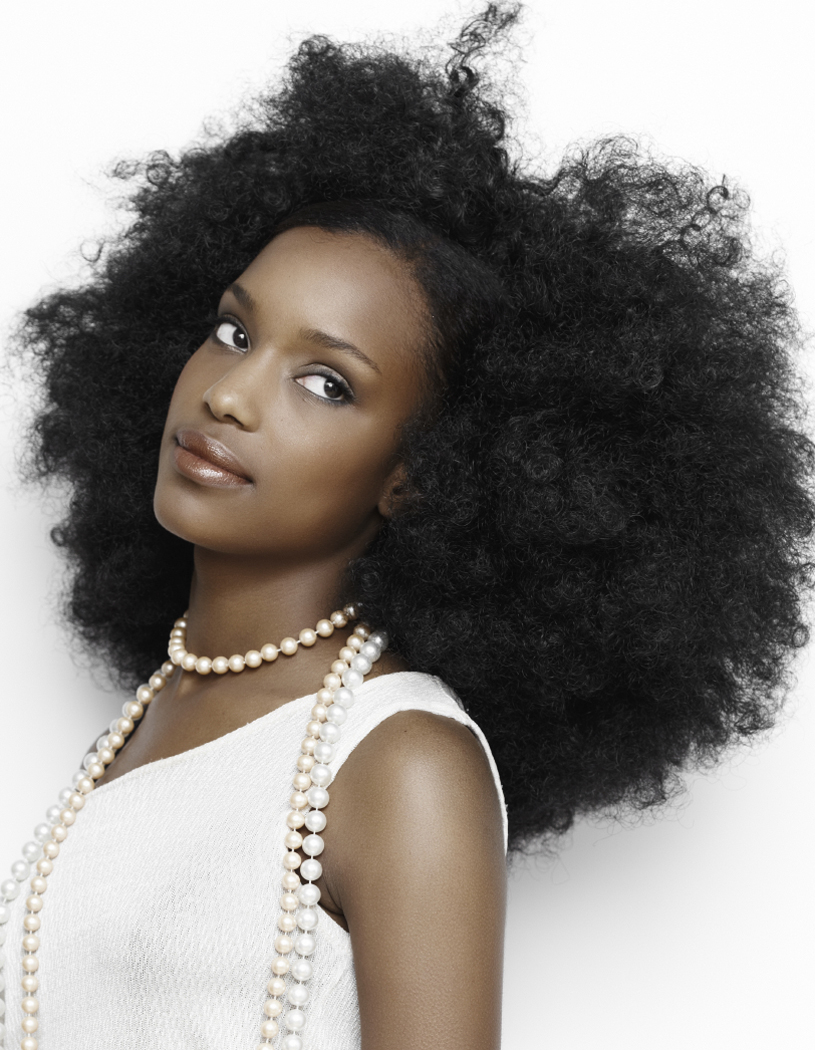 Natural Hair Afro Styles