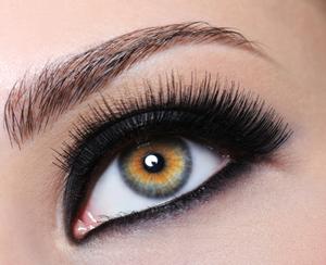 Model with bottom liner applied