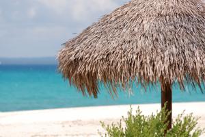 Tropical island beach scene