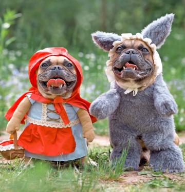 These Halloween Costumes for Dogs Will Make You Howl