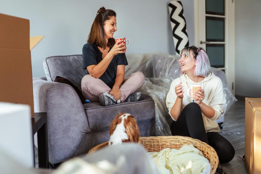 10 Best Pets for College Students They Make Great Study Buddies