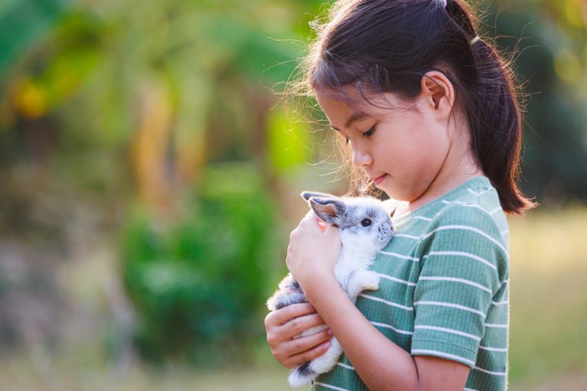 10 Fluffy Rabbit Breeds Perfect for Cuddling | LoveToKnow Pets