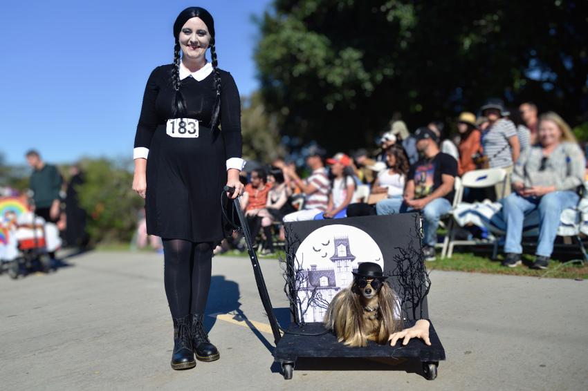 33 Dog & Owner Halloween Costumes to Bark, Boo, & Be Seen LoveToKnow Pets