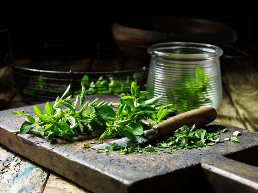 9 Indoor Herb Garden Ideas for Your Favorite Culinary Styles LoveToKnow 9 Indoor Herb Garden Ideas for Your Favorite Culinary Styles LoveToKnow