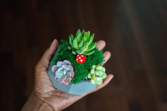 https://cf.ltkcdn.net/www/images/slide/344270-850x567-tiny-fairy-garden-1409802630.jpg