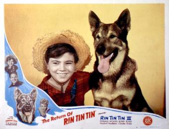 https://cf.ltkcdn.net/www/images/slide/344374-850x651-rin-tin-tin-1137320682.jpg