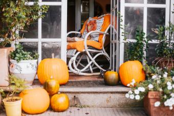 Front Porch Joy ~ Autumn/Winter Light Garland  Light garland, Grapevine  garland, Fall outdoor decor