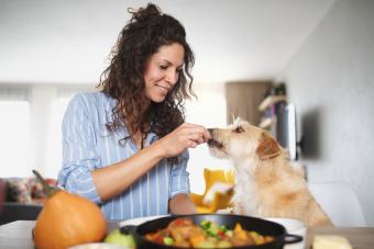 Woman with pet dog eating breakfast indoors at home