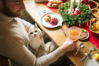 Young man sitting at festive table with cat on lap 