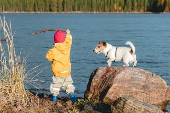 Child throwing a stick for a dog to fetch.
