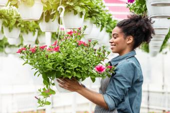 https://cf.ltkcdn.net/www/images/slide/360671-850x566-flowers-grown-greenhouse_2597831707.jpg