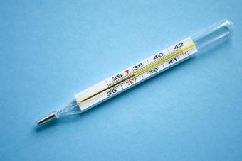 https://cf.ltkcdn.net/www/images/slide/360873-850x566-mercury-thermometer_252975358.jpg