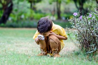 https://cf.ltkcdn.net/www/images/slide/360890-850x566-boy-exploring-nature_2491958307.jpg