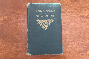 https://cf.ltkcdn.net/www/images/slide/361077-850x566-apples-of-new-york-book.png