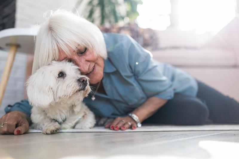 How to Help a Dog Die Naturally at Home LoveToKnow Pets