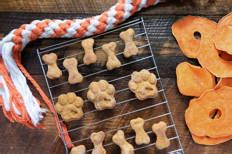 Dehydrated Sweet Potato Dog Treats DIY Recipes to Relish LoveToKnow Pets