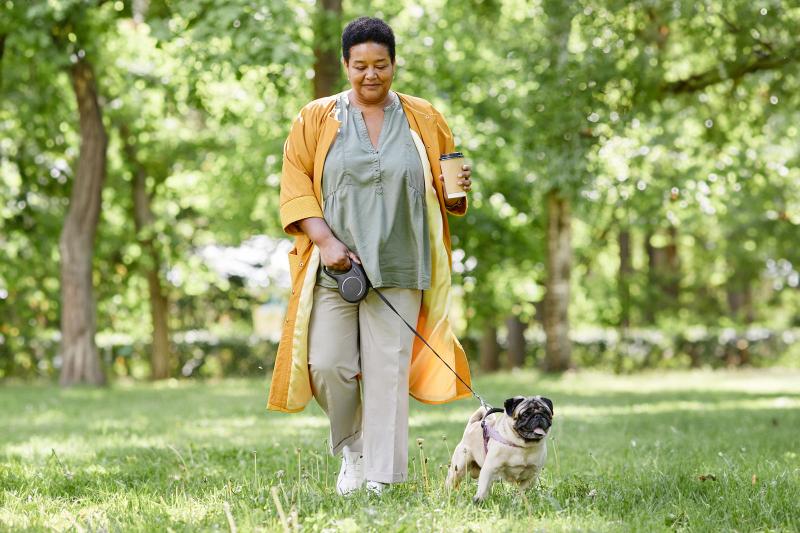 9 Pros & Cons of Retractable Dog Leashes, Plus Safety Tips LoveToKnow