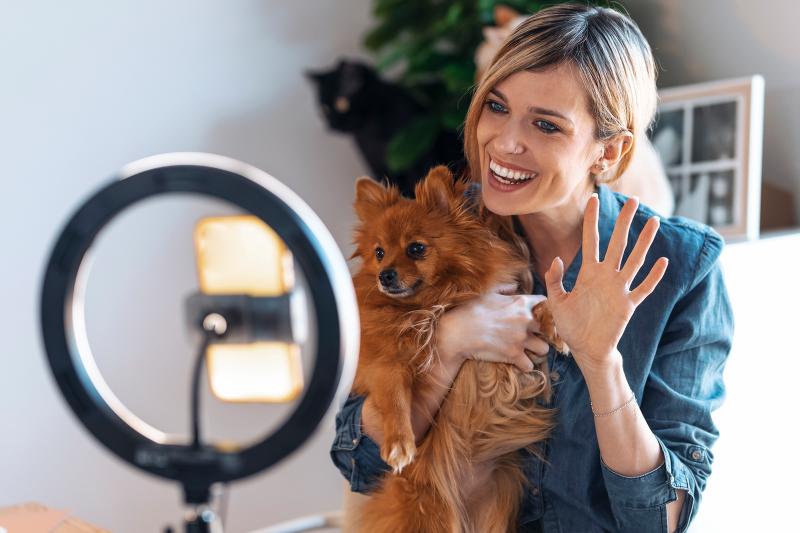 How to Make Your Dog An Influencer 5 Famous Pups Share LoveToKnow Pets