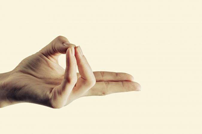 Pran mudra